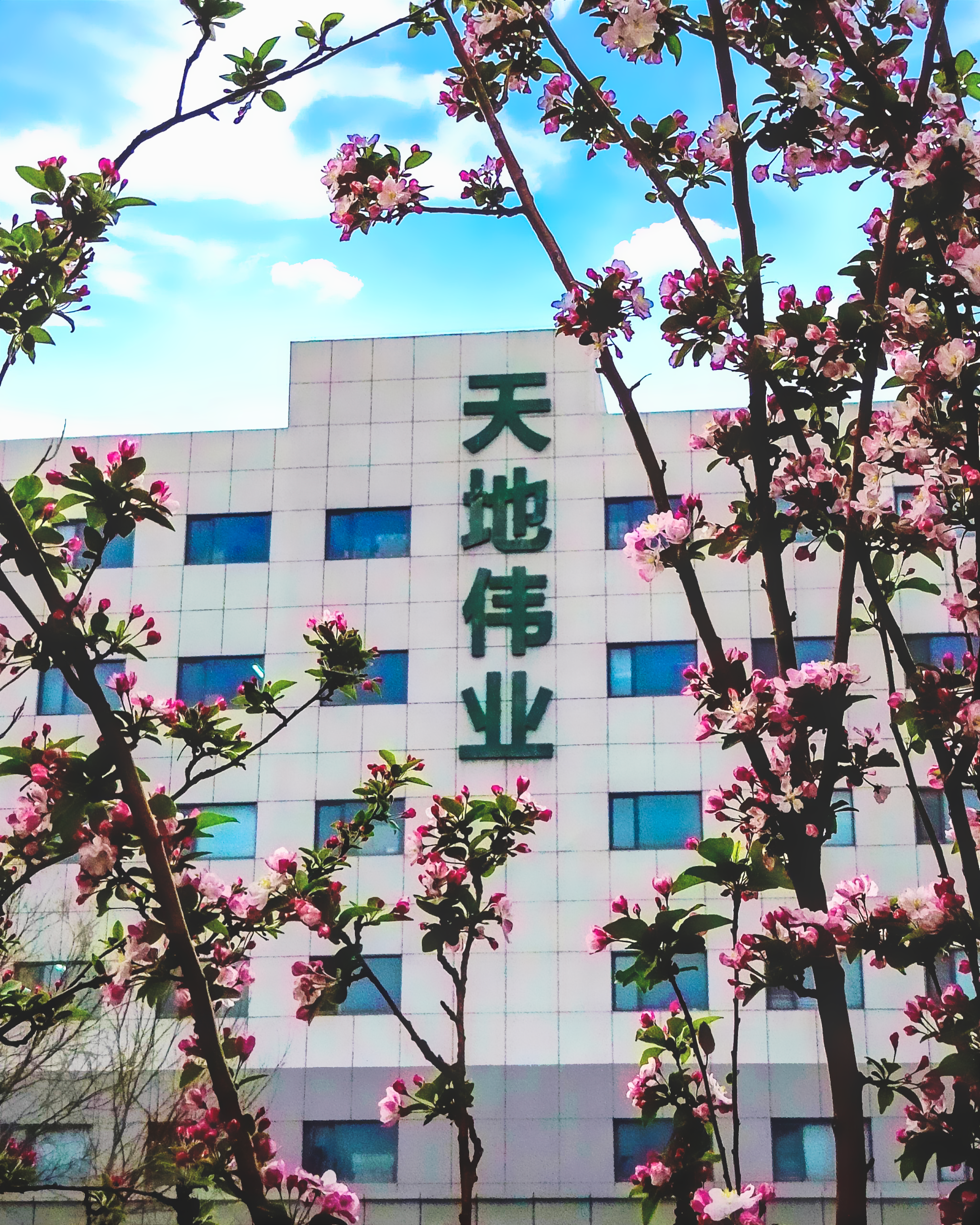 九州ku酷游·(中国集团)官方网站