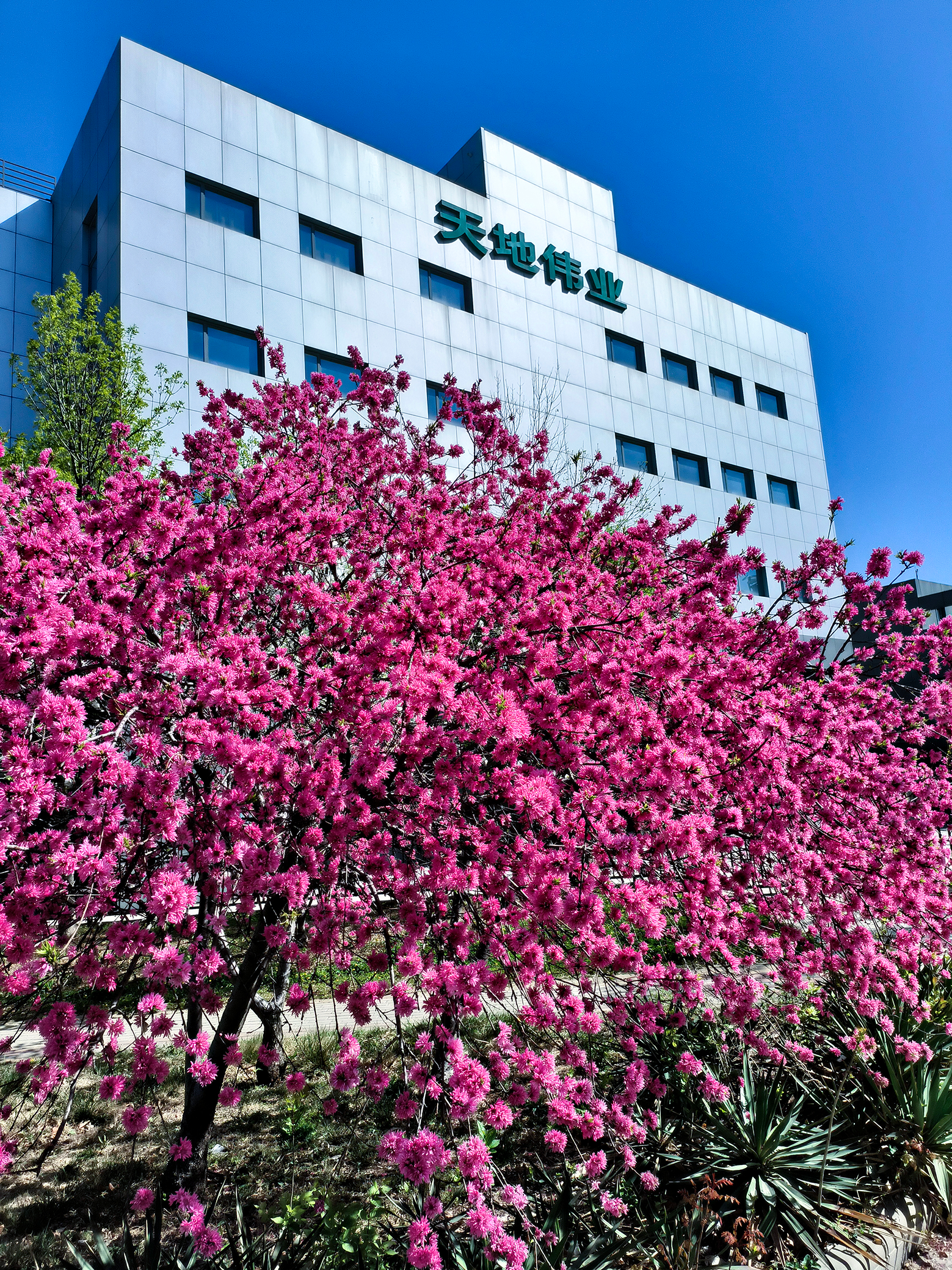 九州ku酷游·(中国集团)官方网站