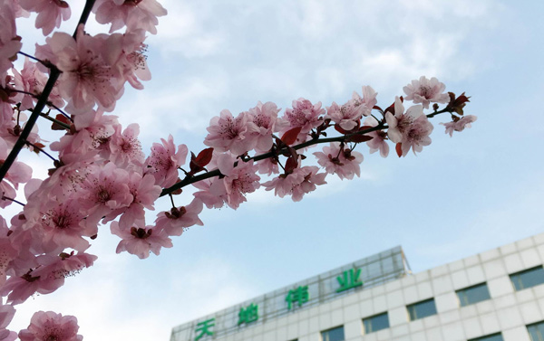 九州ku酷游·(中国集团)官方网站