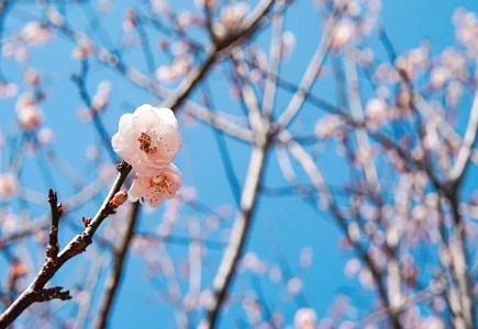 九州ku酷游·(中国集团)官方网站